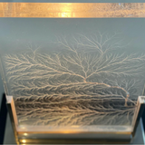 Unknown | Vintage Light Sculpture in Plexiglass (1970)
