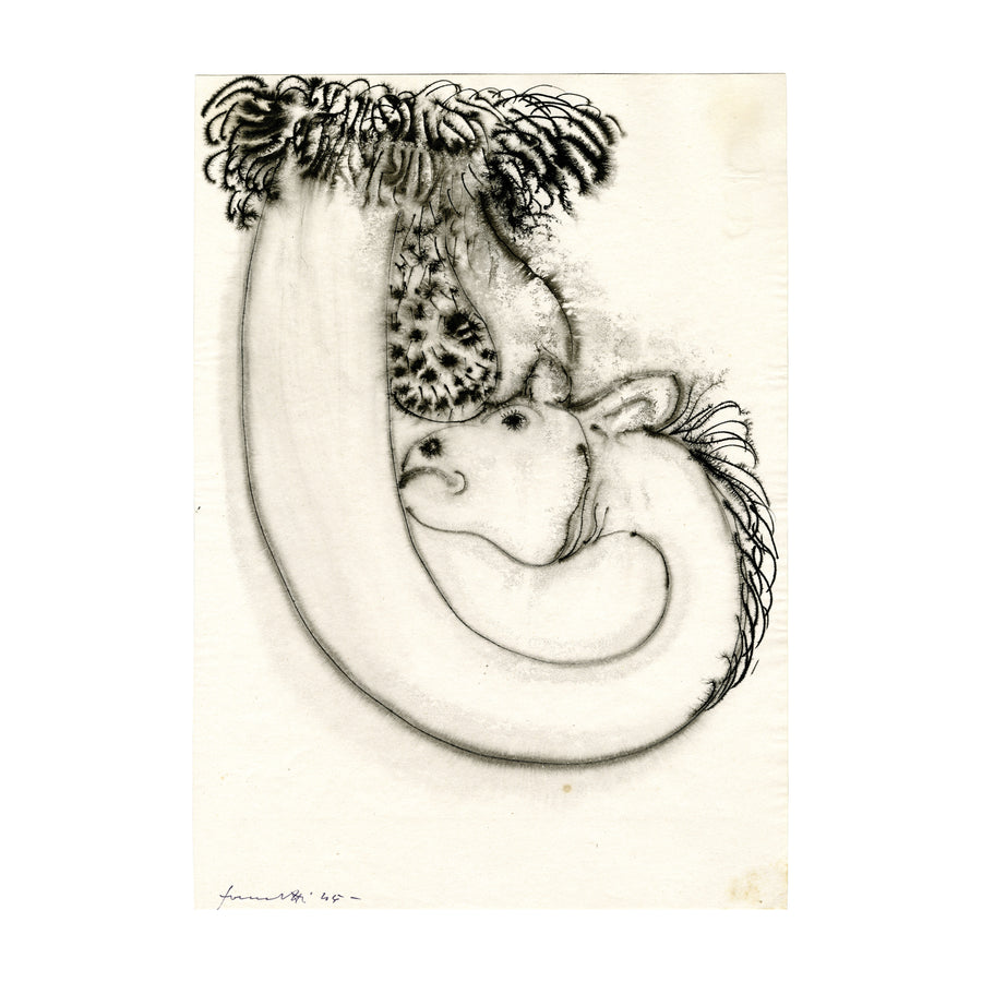 Leclaireur Los Angeles - Fornasetti | Erotic Drawing No. 60 - Fornasetti