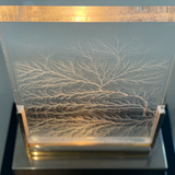 Unknown | Vintage Light Sculpture in Plexiglass (1970)