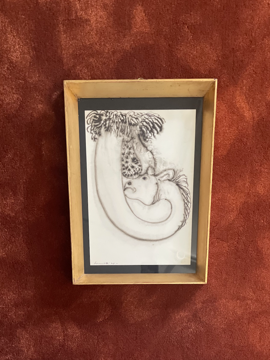 Leclaireur Los Angeles - Fornasetti | Erotic Drawing No. 60 - Fornasetti