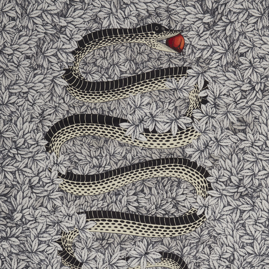 Leclaireur Los Angeles - Fornasetti | Plaid Peccato Originale - Fornasetti